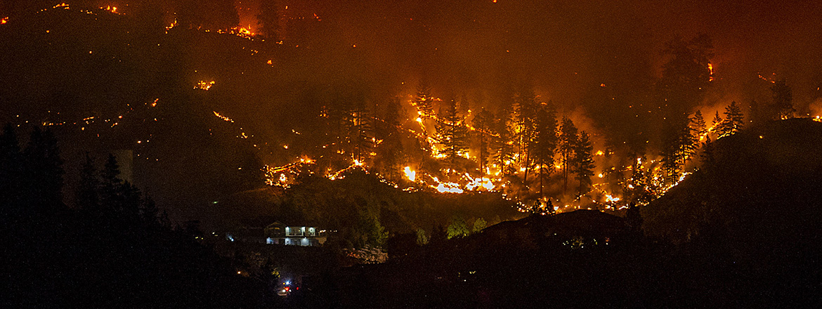 Rapid Review: What is the effectiveness of public health interventions on reducing the direct and indirect health impacts of wildfires?