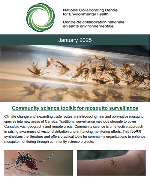 Jan 2025 eNews