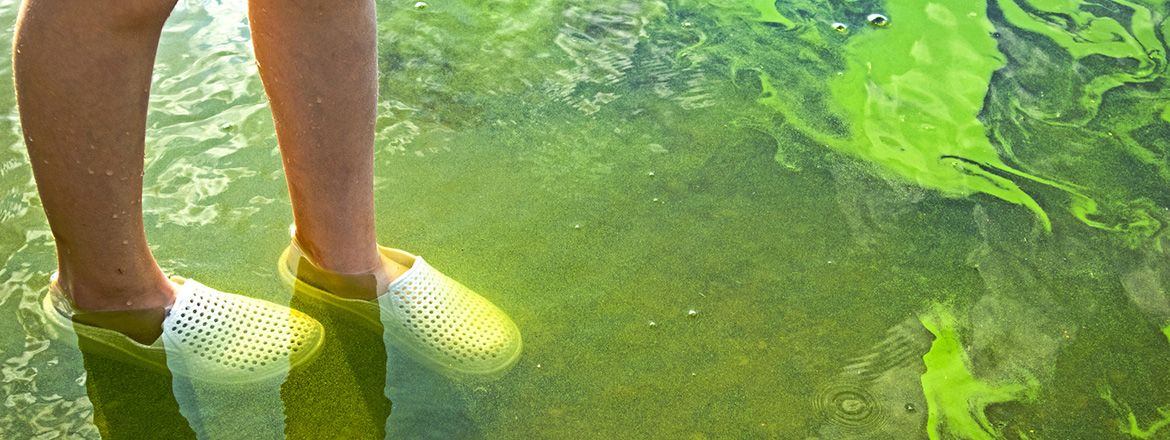 A public health perspective on cyanobacteria, climate change, population growth, and potential risk of neurodegenerative disease