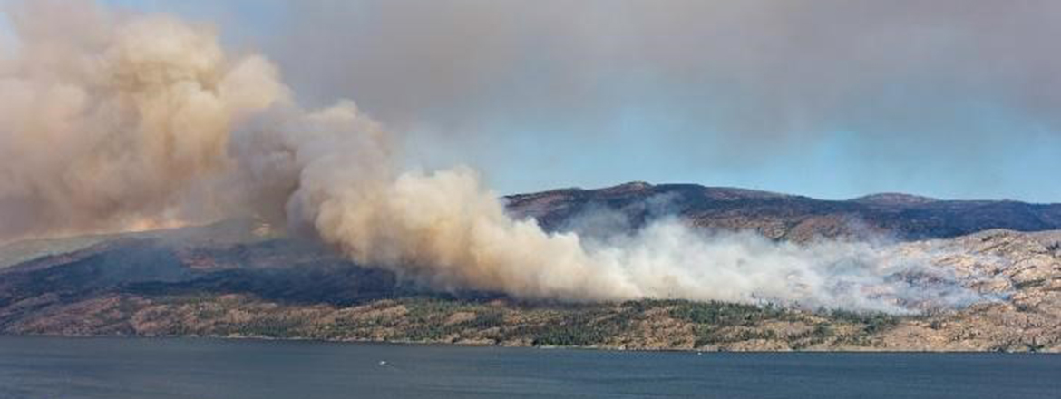 Wildfire smoke and portable air cleaners: Improving air quality in schools and child care facilities