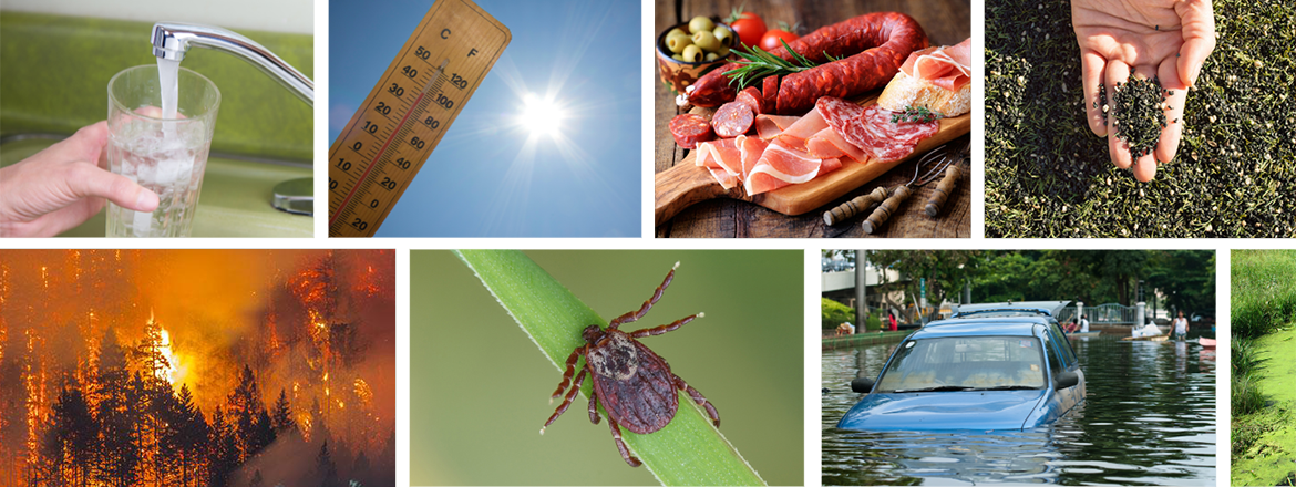 Environmental public health and the Core Competencies for Public Health in Canada: Release 2.0: contribution and impact