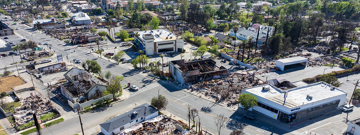 Wildfire cleanup