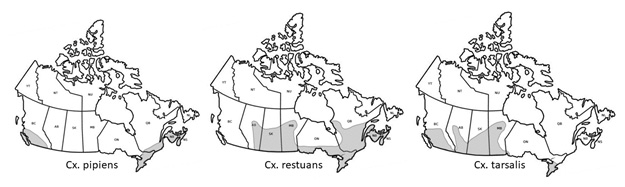 Figure 2. Map of estimated distribution of Cx. pipiens, Cx. restuans, and Cx. tarsalis