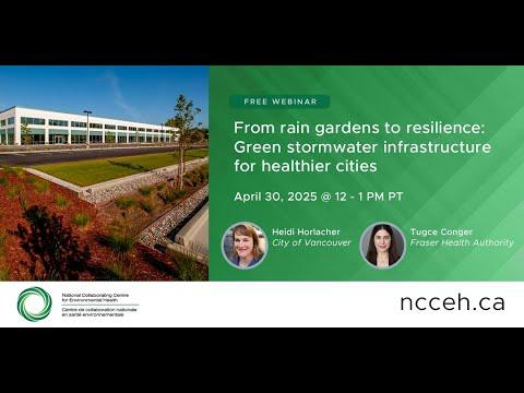 Preview image for the video "From rain gardens to resilience: Green stormwater infrastructure for healthier cities".
