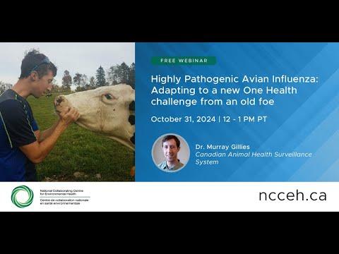 Preview image for the video "Highly Pathogenic Avian Influenza: Adapting to a new One Health challenge from an old foe".