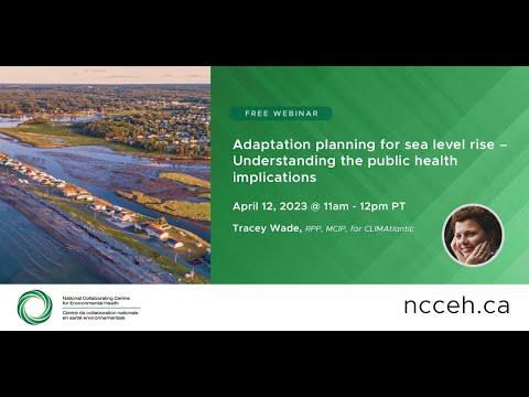 Preview image for the video "Adaptation planning for sea level rise - Understanding the public health implications".
