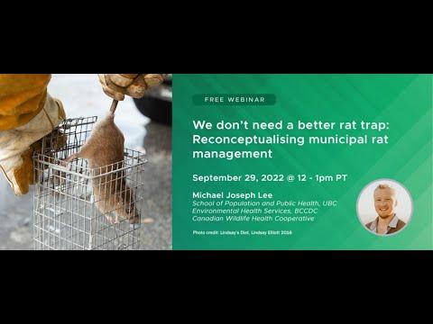Preview image for the video "We don't need a better rat trap: Reconceptualising municipal rat management".