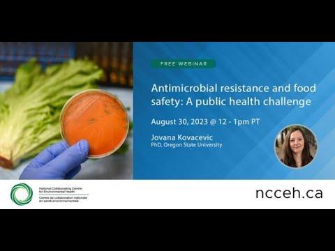 Preview image for the video "Antimicrobial resistance and food safety: A public health challenge".