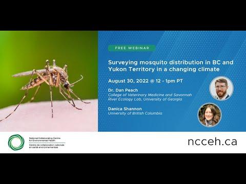 Preview image for the video "Surveying mosquito distribution in BC and Yukon Territory in a changing climate".