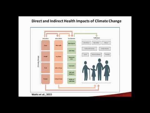 Preview image for the video "Risks and vulnerabilities due to climate change in Canada: New evidence and HealthADAPT".