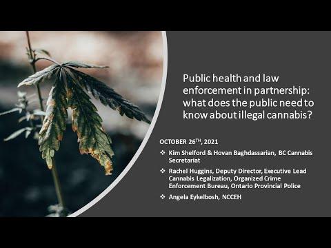 Preview image for the video "Public health and law enforcement: What does the public need to know about illegal cannabis?".