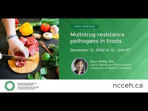 Preview image for the video "Multidrug-resistance pathogens in foods".