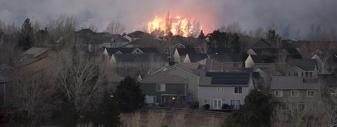 wildfire