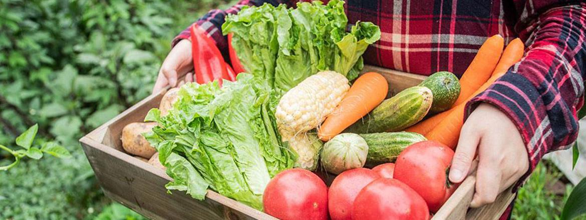 urban agriculture