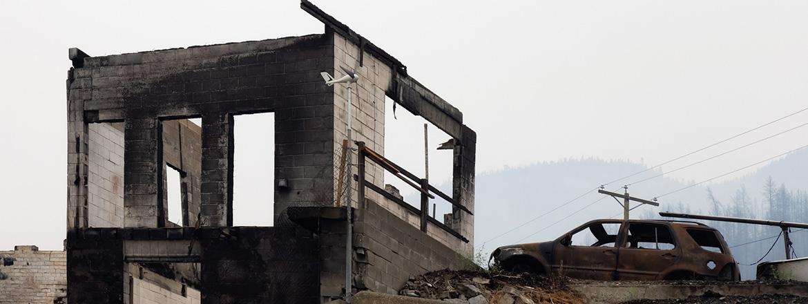 Post wildfire clean-up