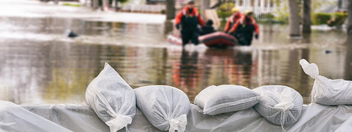 Long-term health impacts of evacuations and widening inequities in Canada: An annotated bibliography
