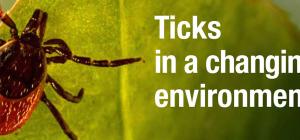 Ticks in a changing environment