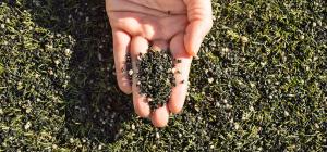 artificial turf