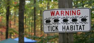 ticks subject guide