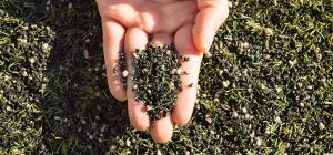 Artificial turf playing fields: health risks and environmental concerns