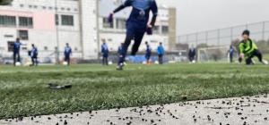 Artificial turf playing fields
