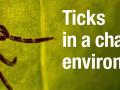 Ticks in a changing environment