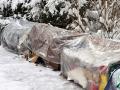 Mobilizing extreme cold response plans for people experiencing homelessness