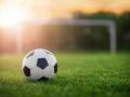 Using a Hierarchy of Evidence to Assess Chemical Health Risks of Artificial Turf