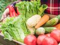 urban agriculture