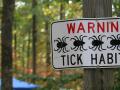ticks subject guide