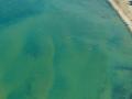 Cyanobacteria in recreational freshwaters: Understanding exposures and health effects 