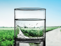 Small drinking water systems and private wells