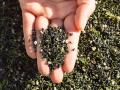 Artificial turf playing fields: health risks and environmental concerns