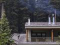 Residential wood smoke: perceptions, health risks, and mitigating exposures