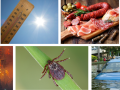 Environmental public health and the Core Competencies for Public Health in Canada: Release 2.0: contribution and impact