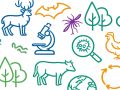 The Public Health Agency of Canada’s Pan-Canadian Zoonoses Report (2013-2022) 