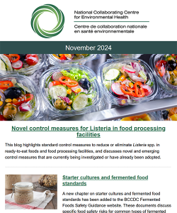 Nov 2024 eNews