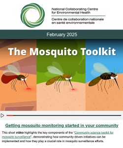 Feb 2025 eNews