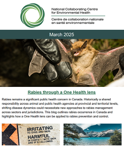 March 2025 eNews