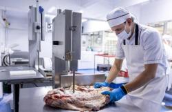 electric meat saw