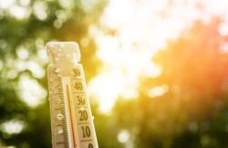Building climate change mitigation and adaptation strategies into HDL