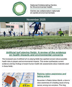 Nov 2025 eNews