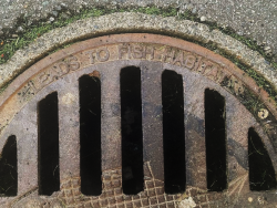 Chemicals of concern - sewer