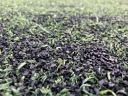 Crumb rubber infill
