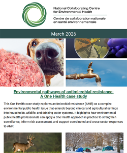 March 2026 eNews