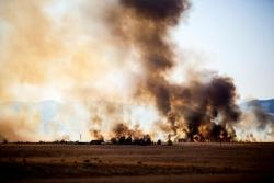 wildfires