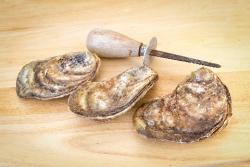 malpaque oysters